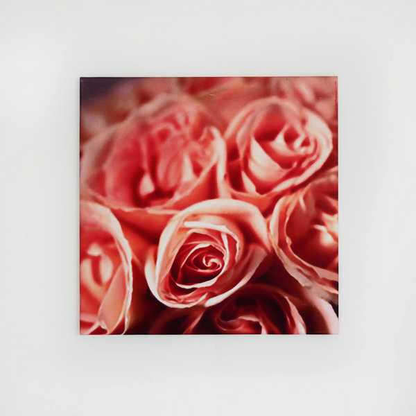 bild wandbild gemaelde foto rahmen sensa einrichtungen muenster rose rosen rot orange rosa